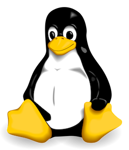 dl_Linux_300